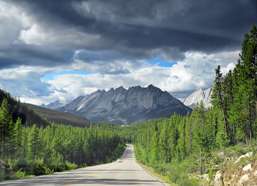 191F59354EFC3AE5302FF9