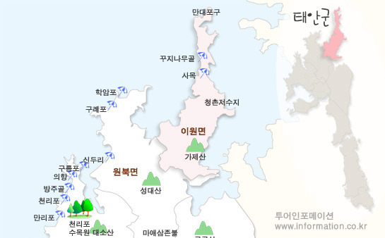 금란마트 이미지