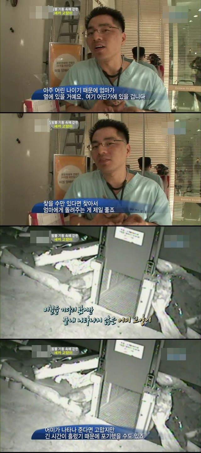 예뻐예 이미지