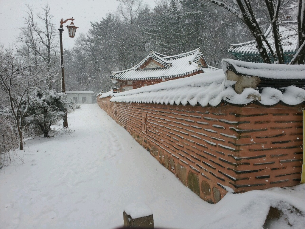 솔안 이미지