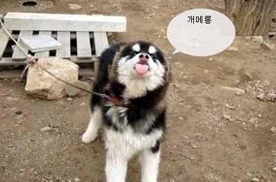 오뉴월 이미지