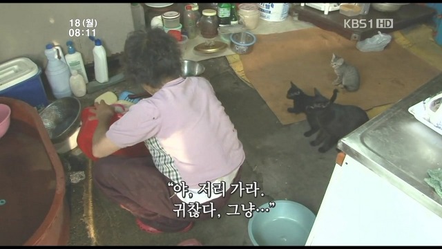 고양이 구박하는 훈할머니.JPG | 인스티즈