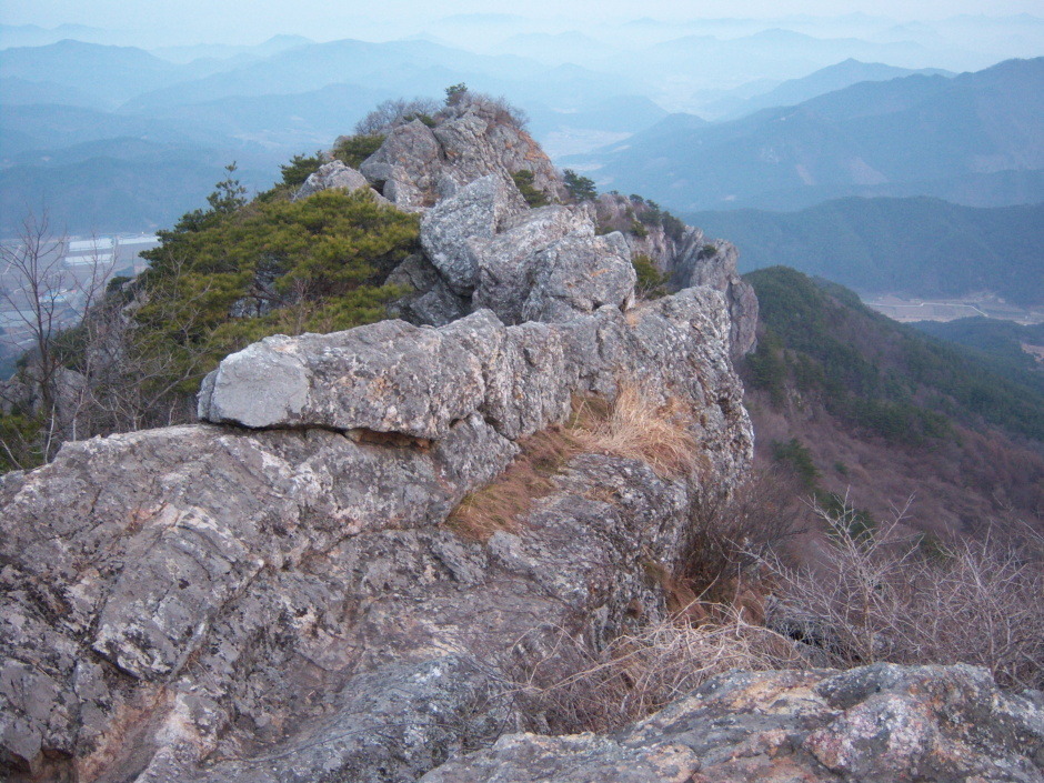 화순라이프 이미지