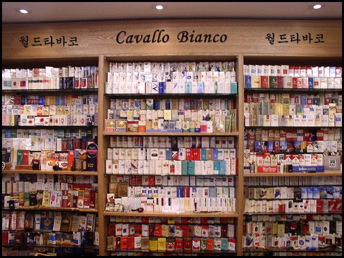 월드수입 이미지