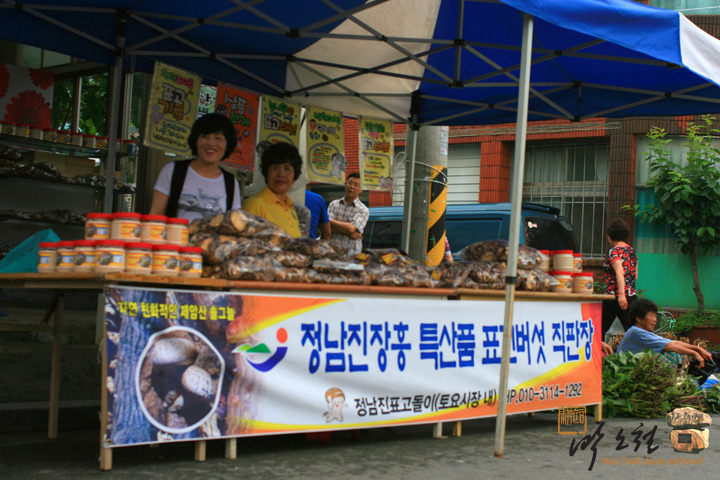 cafe 정남진 이미지