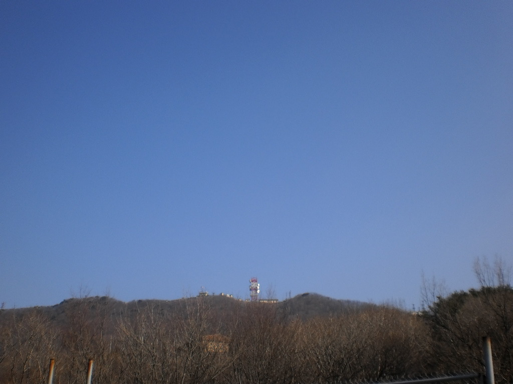 청맥 이미지