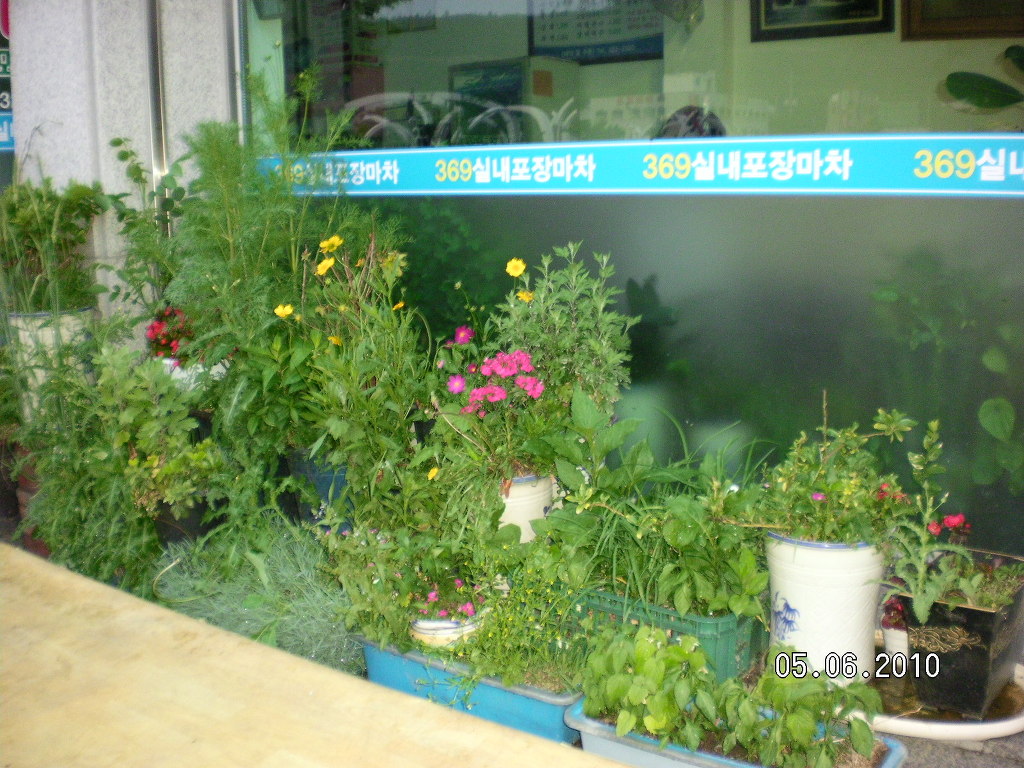 369포장마차 이미지