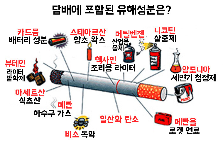 백해무익 엄청나게 몸에 안좋고 손해인데 못 끊는 베우지 말아야 할(혐오주의) | 인스티즈