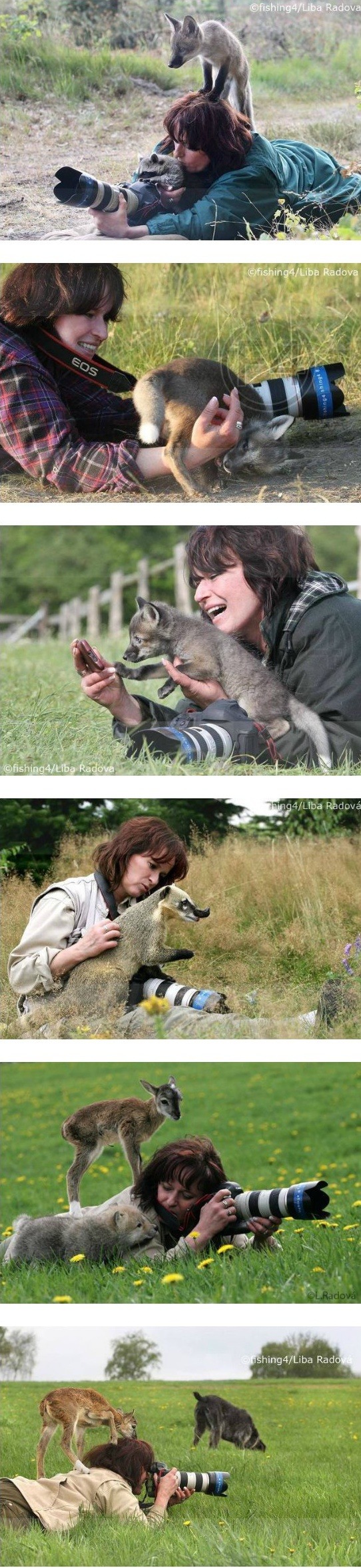 동물들과 친화력 | 인스티즈