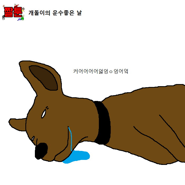 댕댕이의 운수좋은날.jpg | 인스티즈