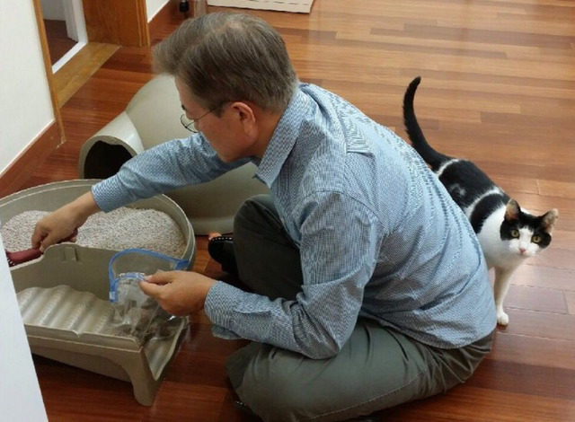 냥집사들 🐱 (사진 엄청많음 주의) | 인스티즈