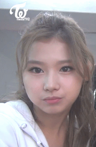 어리버리한 트와이스 사나 | 인스티즈