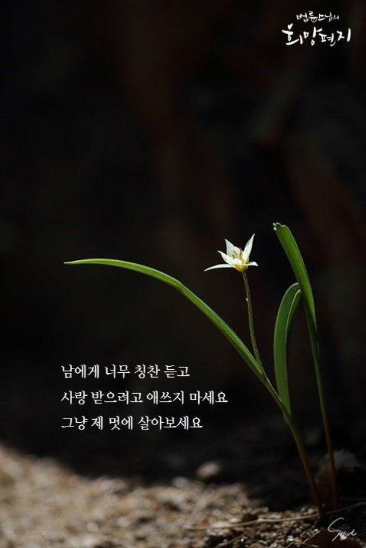 에고 이미지