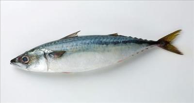 일상에서 흔히 겪는 오지랖 중 하나.jpg | 인스티즈