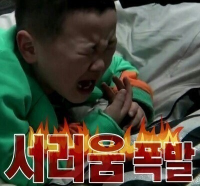 대수능에 대처하는 1년간 우리들의 자세 | 인스티즈