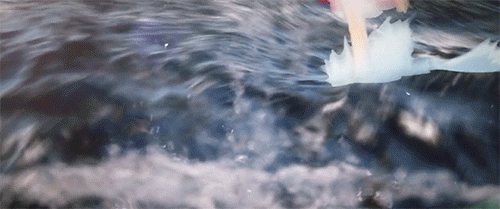 미야자키 하야오 헌정 영상.gif | 인스티즈
