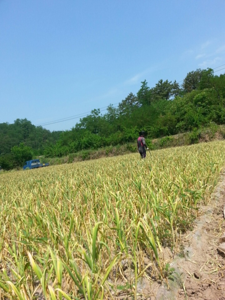 (주)의성 이미지