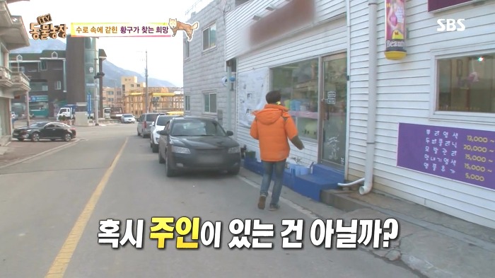 [동물농장] 수로 속에 갇힌 황구가 찾는 희망.JPG (감동주의) | 인스티즈