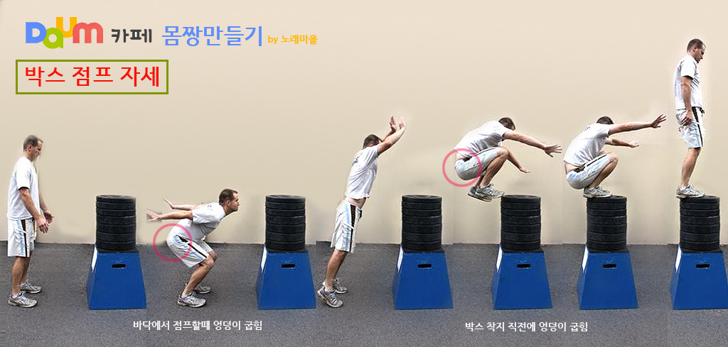 트레이닝박스 이미지