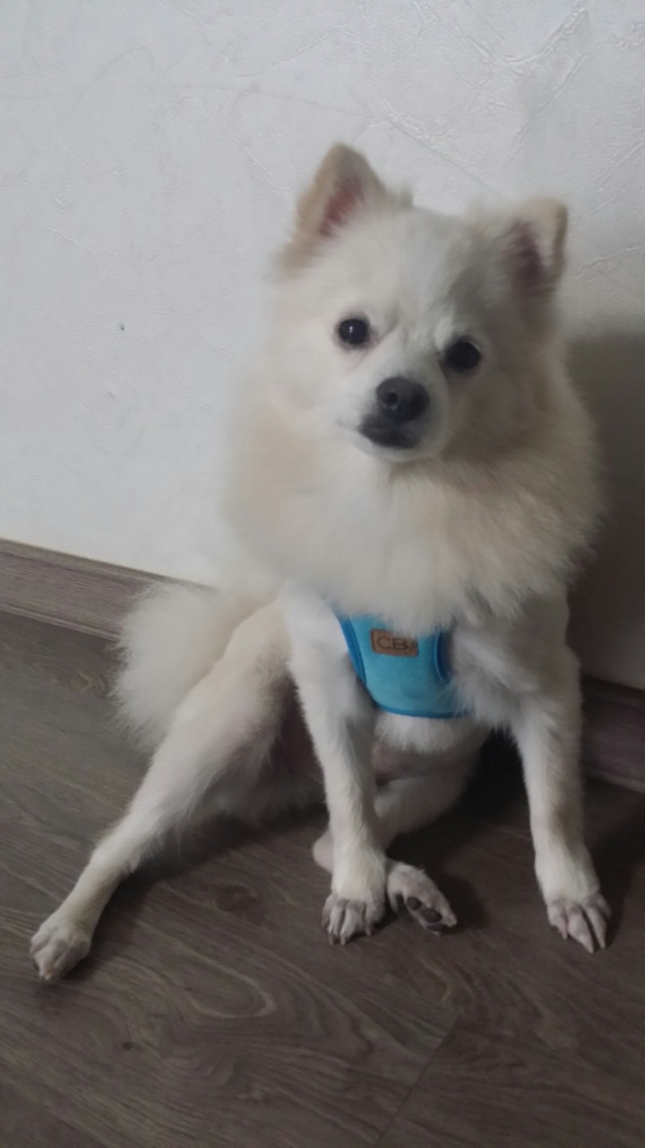 봉구 이미지