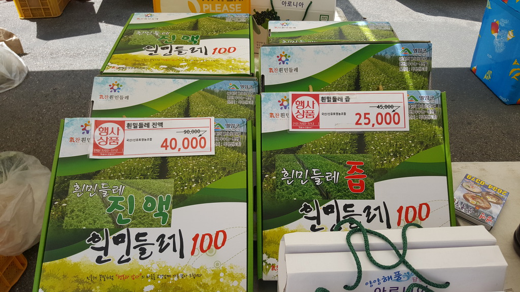 기찬흰민들레 영농조합법인 이미지