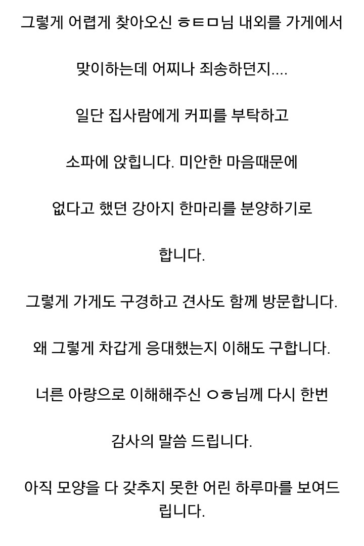 더 이상 한국인에겐 시바견 분양 안하겠다는 일본인 | 인스티즈