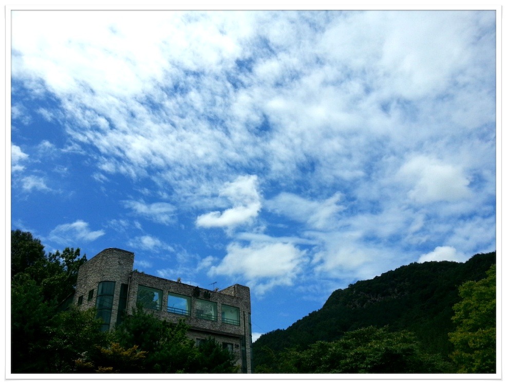 청산농원 이미지