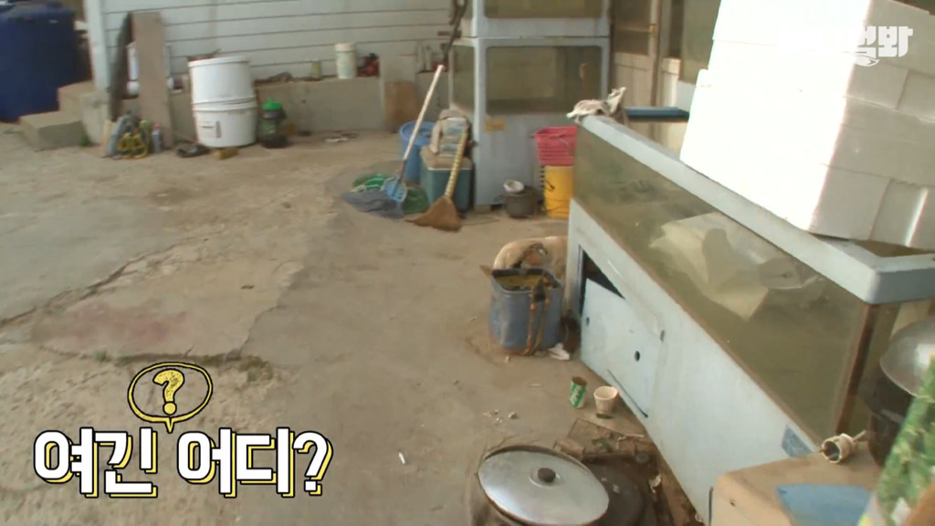 혼자 버스타고 지인 만나러 가는 강아지 상연이.jpg | 인스티즈