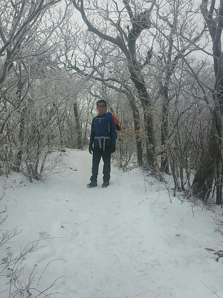 해오름주 이미지
