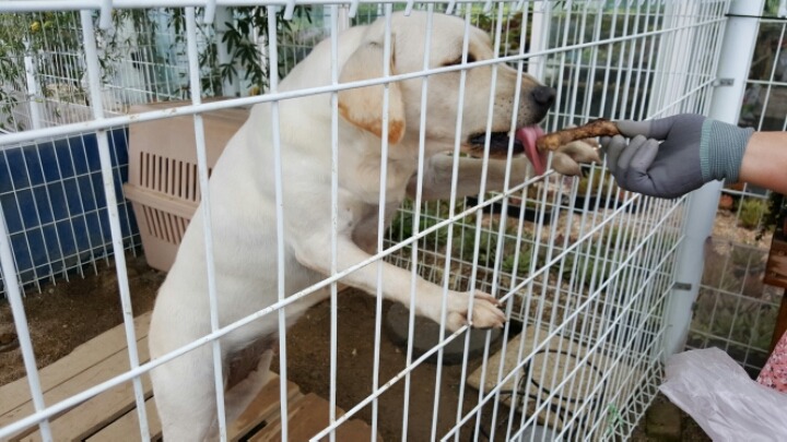 거시기유 이미지