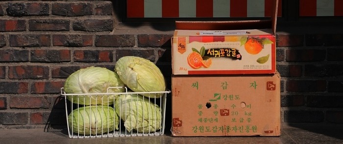 삐삐네 이미지