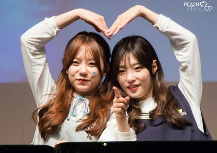 아이오아이 ioi 가 해체 할 경우 더이상 볼수 없는 것 | 인스티즈