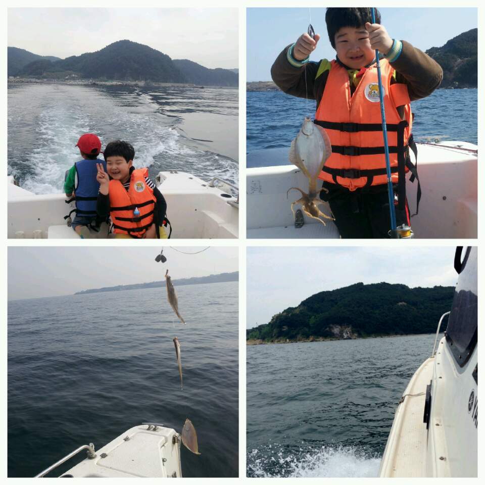 호미곶참가자미 이미지