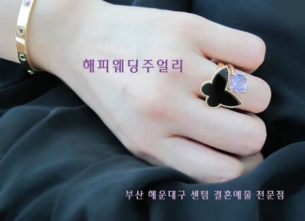 오닉스 이미지