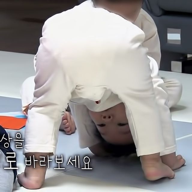일요일 아침을 맞이하는 대박이.gif | 인스티즈