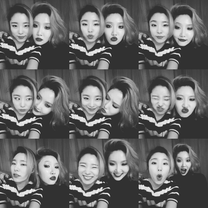 휘사랑 이미지