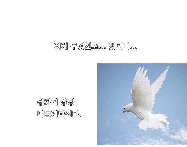 오늘자 응팔에서 혜리가 가져온 비둘기의 정체.jpg | 인스티즈