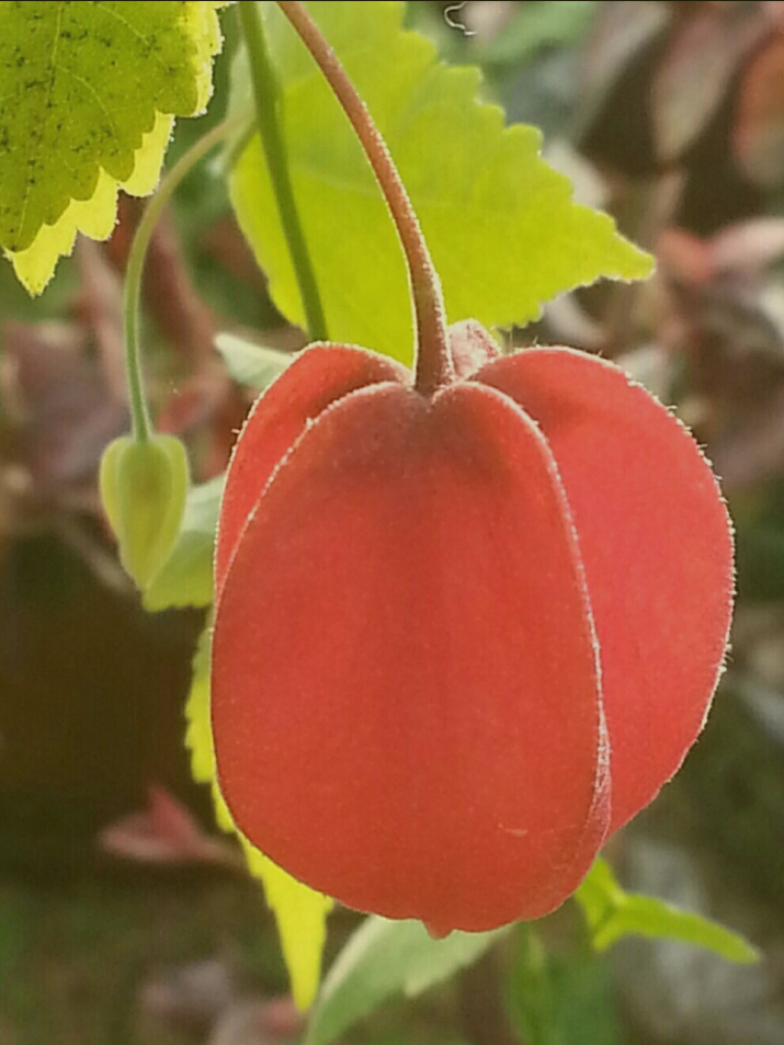 석은수 이미지
