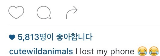 폰이 안보일 때 행동 | 인스티즈