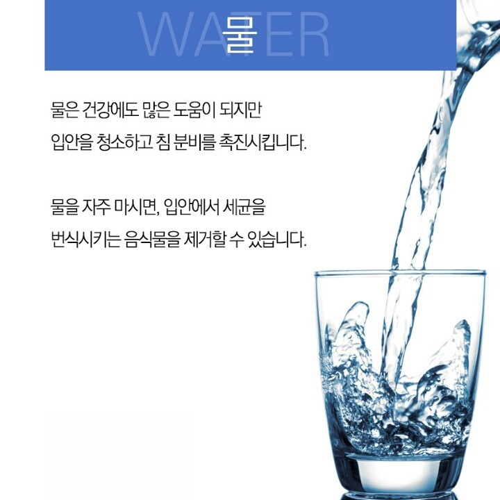 입냄새를 잡아주는 8가지 | 인스티즈
