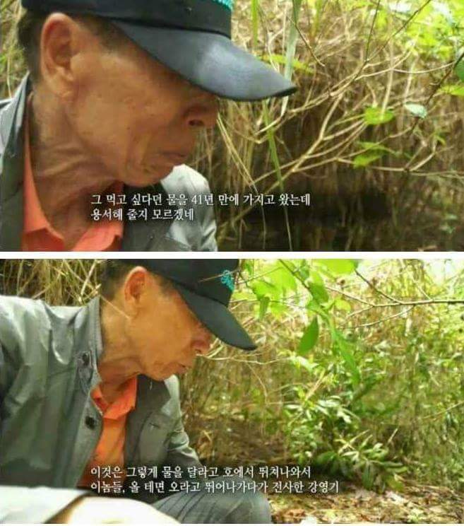  41년만에 주는 물 | 인스티즈