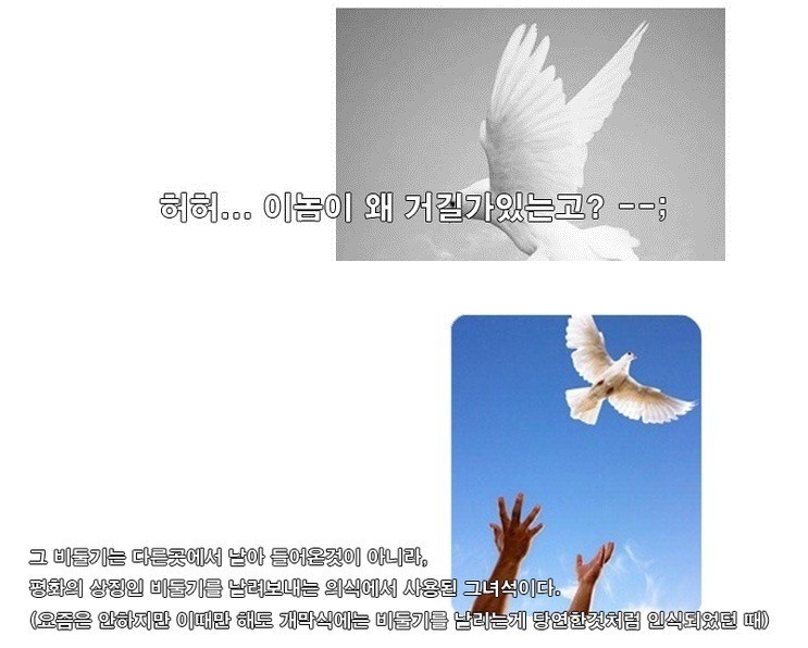 오늘자 응팔에서 혜리가 가져온 비둘기의 정체.jpg | 인스티즈
