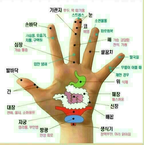 기분좋은웰빙 이미지
