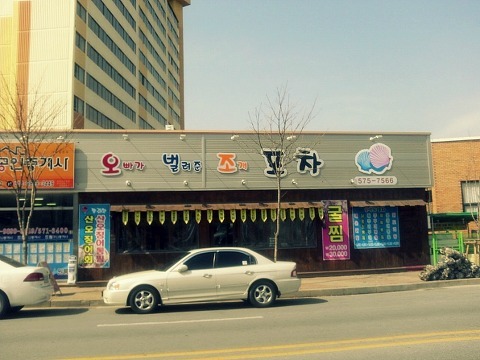 조개집 이미지