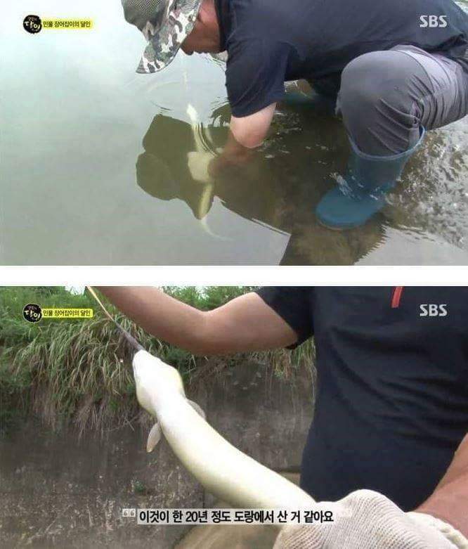 민물장어의 위엄 | 인스티즈
