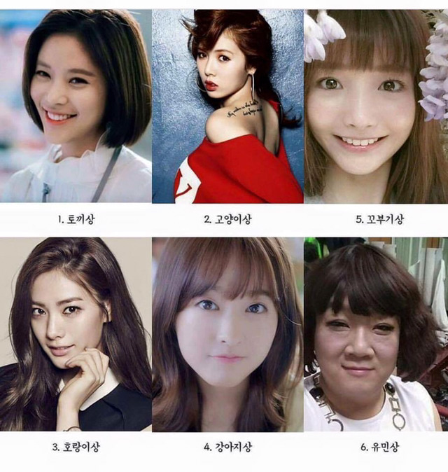 좋아하는 얼굴상은?? | 인스티즈
