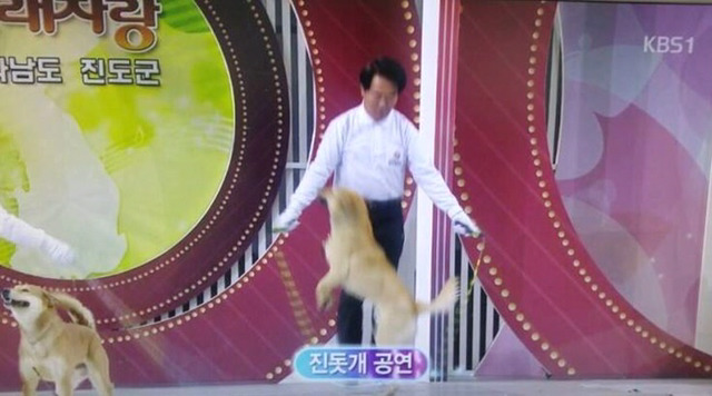 전국노래자랑 레전드 (진도편) | 인스티즈