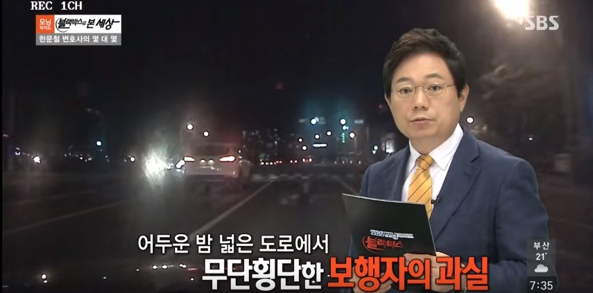 운전자 입장에서 억울한 무단횡단 사고 | 인스티즈