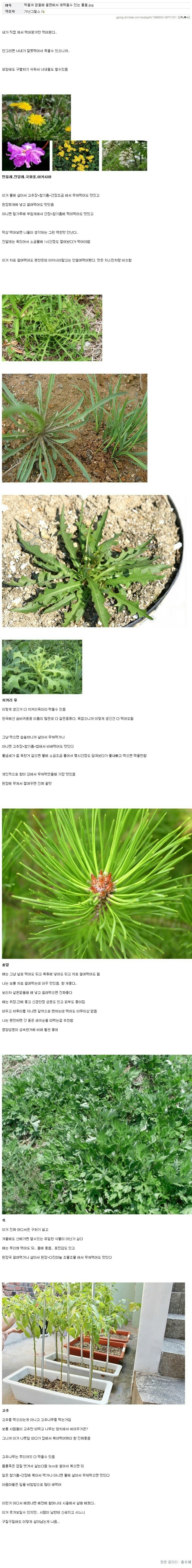 흙수저갤러리를 눈물바다로 만든 가난그릴스 | 인스티즈