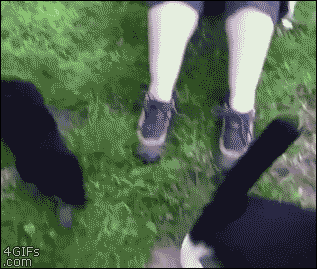 고양이야 놀자 .gif | 인스티즈